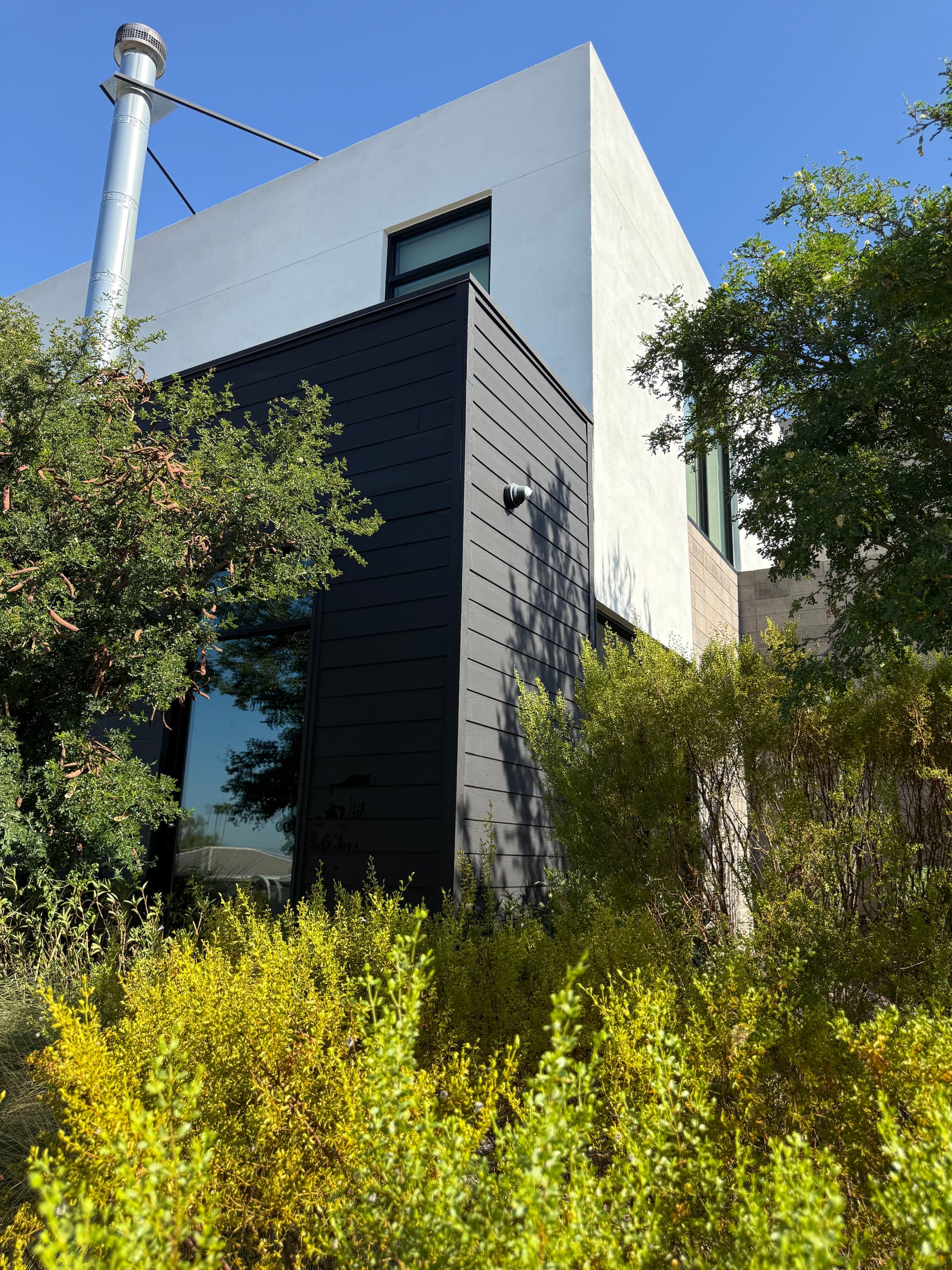 Gallery photos for Beehive Honey Removed From Stucco and LP Siding: Image #2